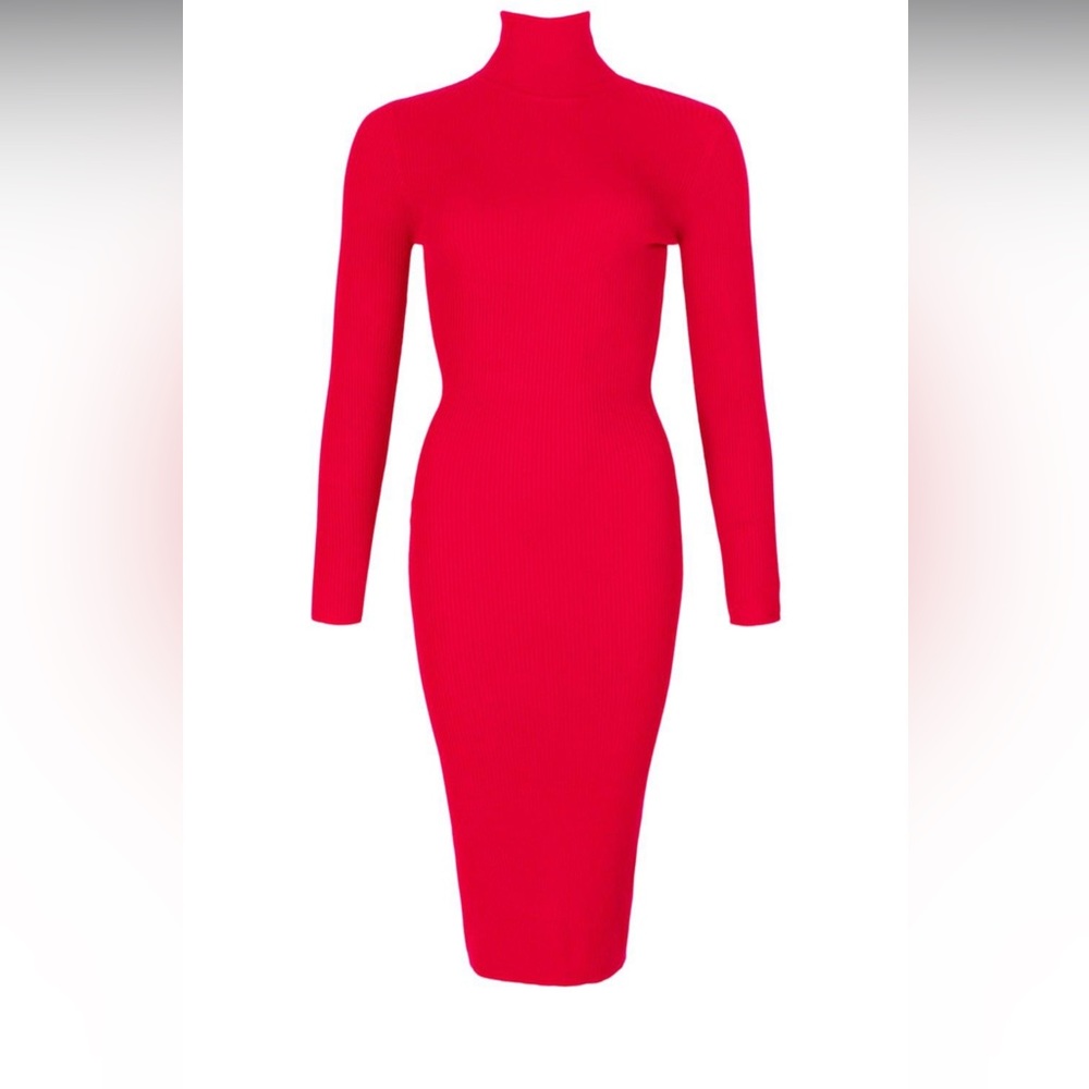 TURTLENECK RIB KNIT MIDI DRESS✨New